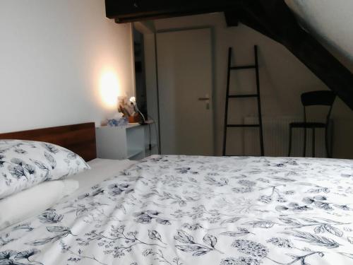 Basel Rühige Zimmer mit grösse Doppelbett in Binningen, Schweiz