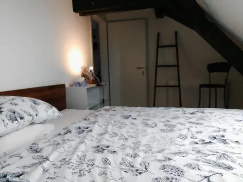 Basel Rühige Zimmer mit grösse Doppelbett in Binningen, Schweiz
