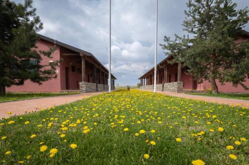 Skats, Arheološki park Viminacium (Arheoloski park Viminacium) in Dubovac