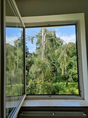 Private Room in 2 rooms flat, 15mins direct U-Bahn to Hbf-Self-Check-In, Hamburgo (foto 7)