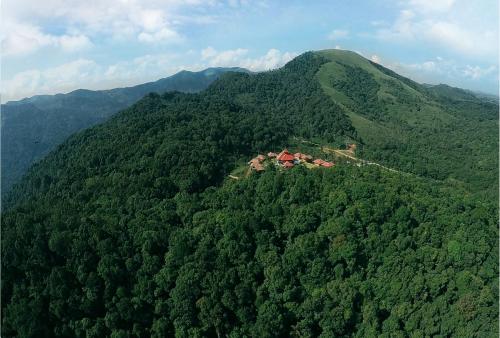 Wild Planet Jungle Resort