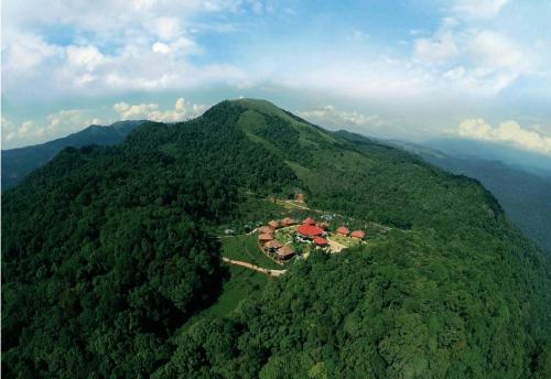 Wild Planet Jungle Resort