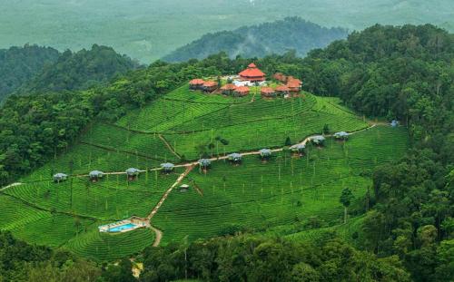 Wild Planet Jungle Resort