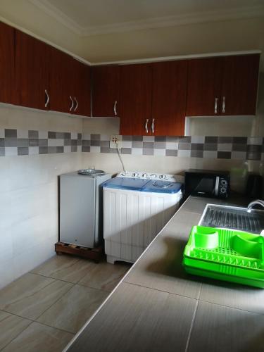 Executive getaway flat in the heart of Dansoman in Ashiedu Keteke