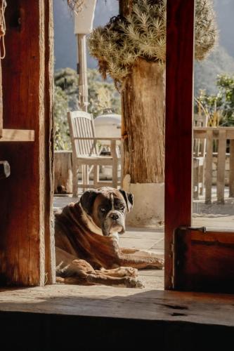 Wonderland Boutique Retreat & Spa - image 13
