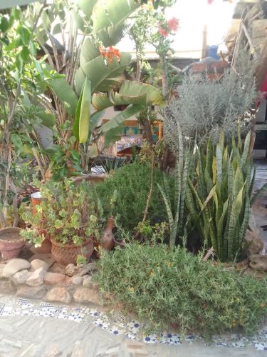 Diabat hostel in Diabat