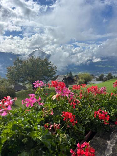Frühstückspension Alpenrose Bed & Breakfast