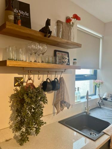 31 Lower English in 阿馬