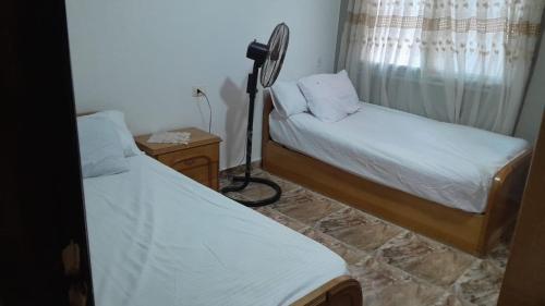rich house - image 14