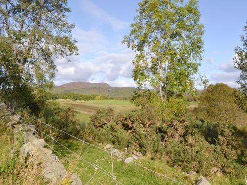 ทัศนียภาพภายนอกโรงแรม, Osprey Cottage in ดัคเคิล