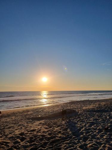 6 Caracoles in 聖佩德羅馬薩胡亞特