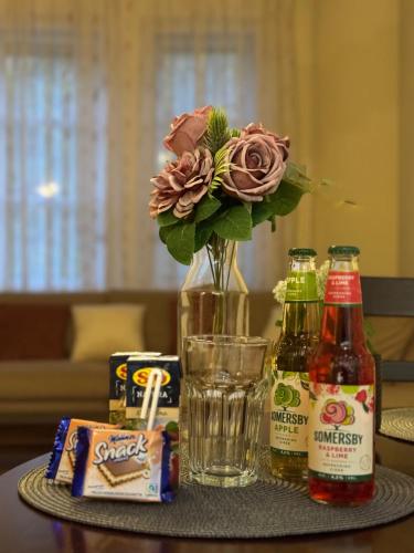 Damjanich Deluxe Apartman in Szolnok