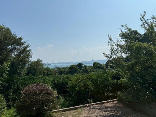 The Standard Inn Onomichi-Ikuchijima