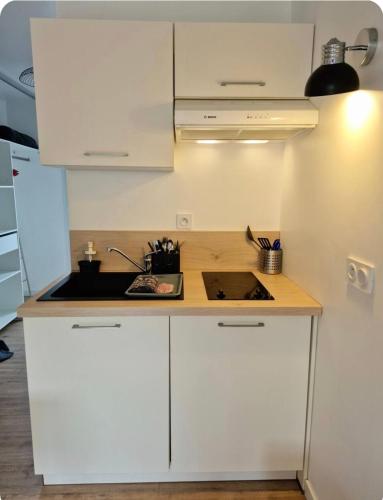 "Studiocaroline44", 2 studios entre la ville et la mer, parking, cuisine, moins de 15min de l'aeropo in Bouaye