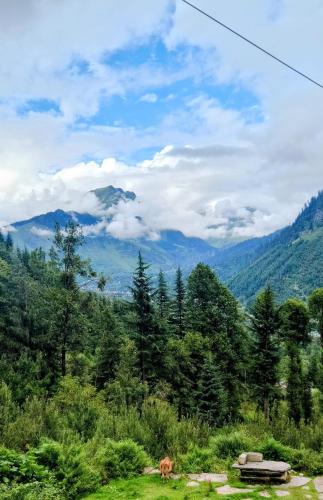 Himaja Retreat in Majach