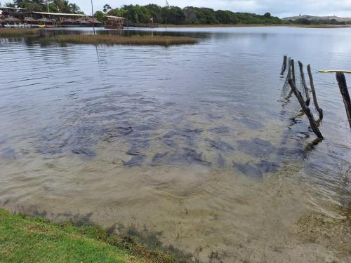 Casa de Temporada Lagoa dos Tambaquis in Estância