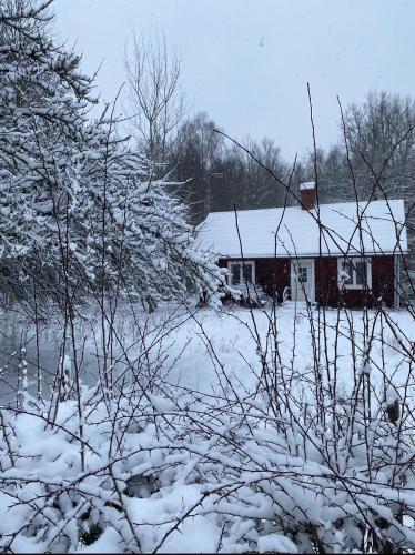 Villa Apple Garden - Accommodation - Tingsryd