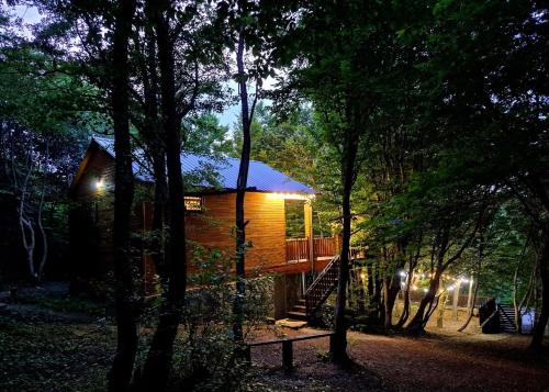 WoodLand Tskhvarichamia - Tsʼkhvarichamia