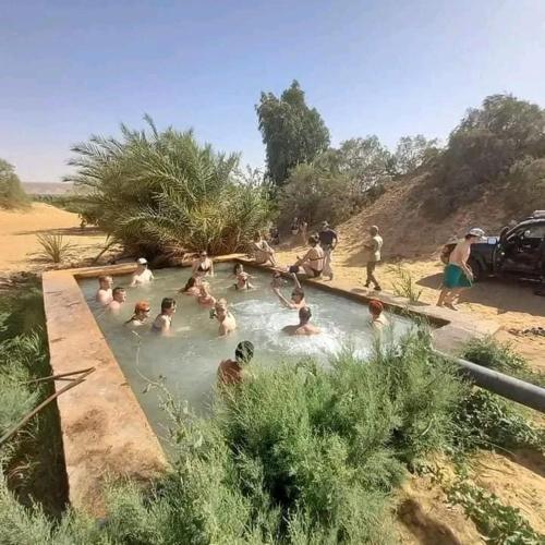 White Desert Camp and Tours - Bahariya Oasis in Bawiti