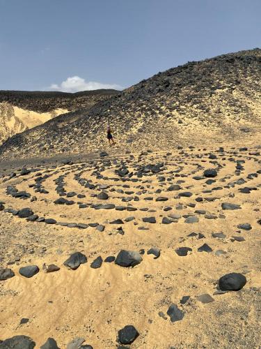 White Desert Camp and Tours - Bahariya Oasis in Bawiti
