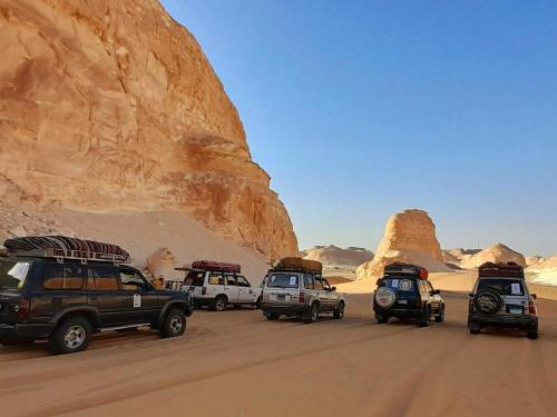 White Desert Camp and Tours - Bahariya Oasis in Bawiti