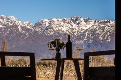 NOI Lodge Entre Viñedos (NOI Lodge Entre Vinedos) in La Consulta San Carlos Mendoza