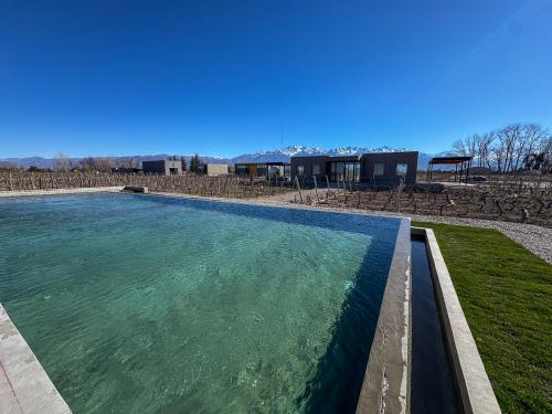 Úszómedence, NOI Lodge Entre Viñedos (NOI Lodge Entre Vinedos) in La Consulta San Carlos Mendoza