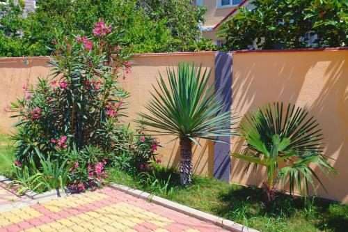 Guest House na Edinstvo 40