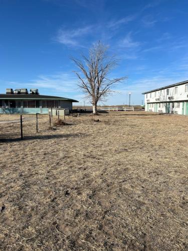 Budget Inn - image 3