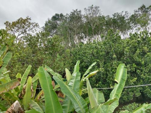 Nam Cat Tien Đuc Phat Homestay 4-Star Guesthouse room