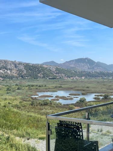 View of flamingos in Sakes