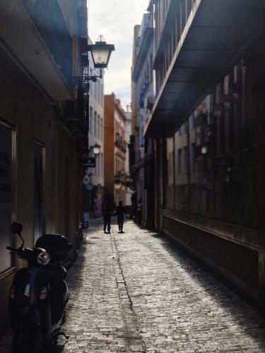 Las naranjas de reina mercedes, Sevilla (fotografie 3)