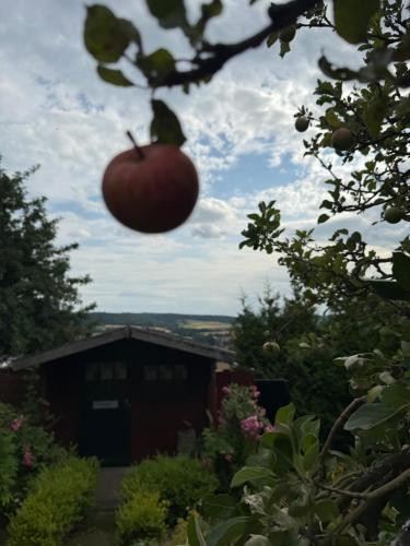 景觀, Apartment Heidchen in 克奴瓦德