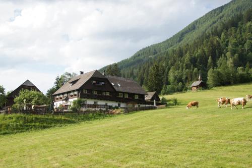 Der Perweinhof in Donnersbachwald, Österreich