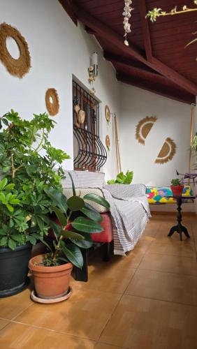 Eni's Villa, 5km From Shengjini Beach in Ishull Lezhë