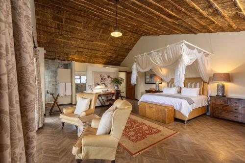 Karongwe - Becks Safari Lodge, Hoedspruit (foto 8)