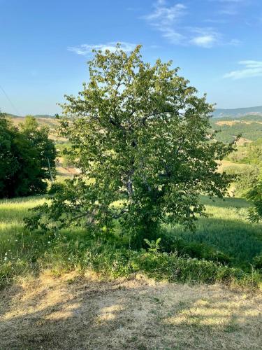 Kert, La Dimora di Armida in Torricella Peligna