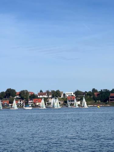 Forest & Lake Mikołajki