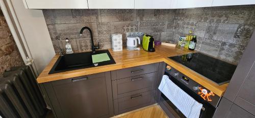 Al Pacino Family Lux Apartment, Riga (foto 8)