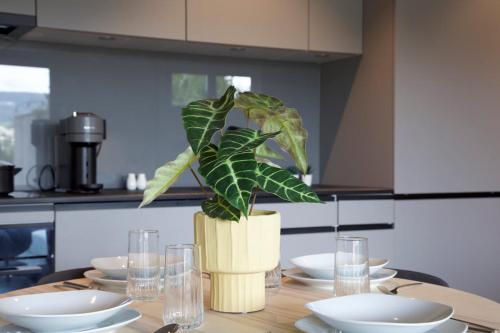 Studio 111 loft with views over Aarau in 阿勞