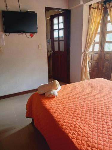 Chez Alicia Hostal - image 2
