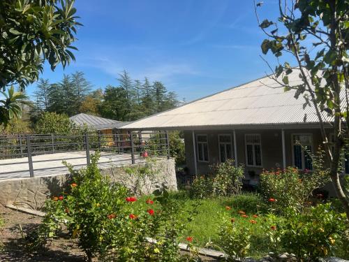 Exterior view of Nika house