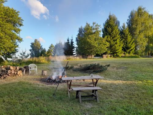 Apkārtne, Astrolipa in Nowy Zyzdrój