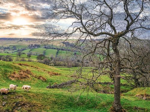 A szálláshely kívülről, Pygreave Cottage in Chapel West