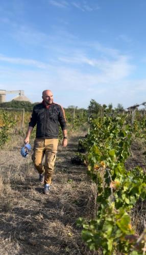 Vinarija Ljutica Winery Ljutica in Feketic