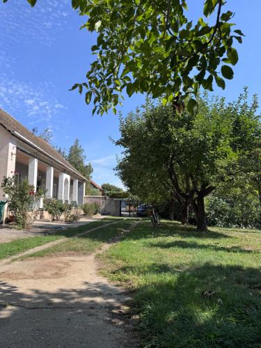 Vinarija Ljutica Winery Ljutica in Feketic