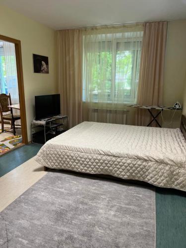 Lucia apartment 2 · Codru