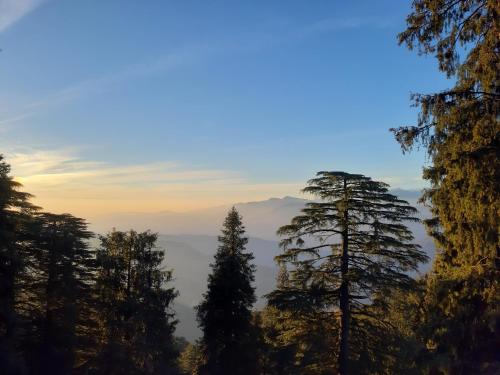 Dalhousie 2