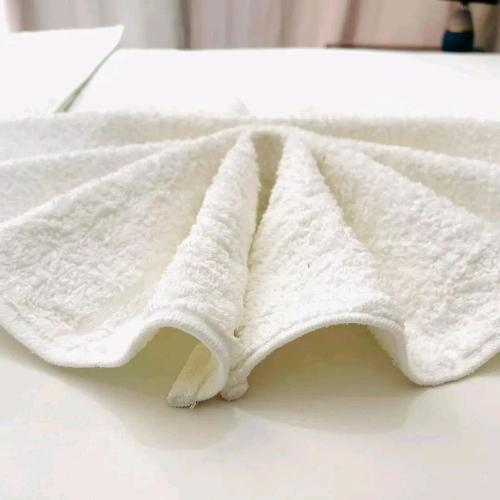 Atoma Lodge in Shakawe