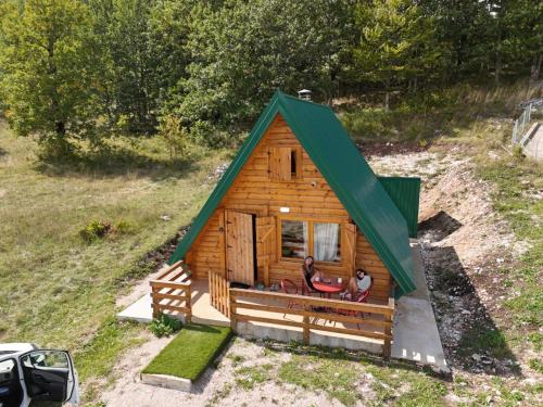 Forest rest in Pluzine